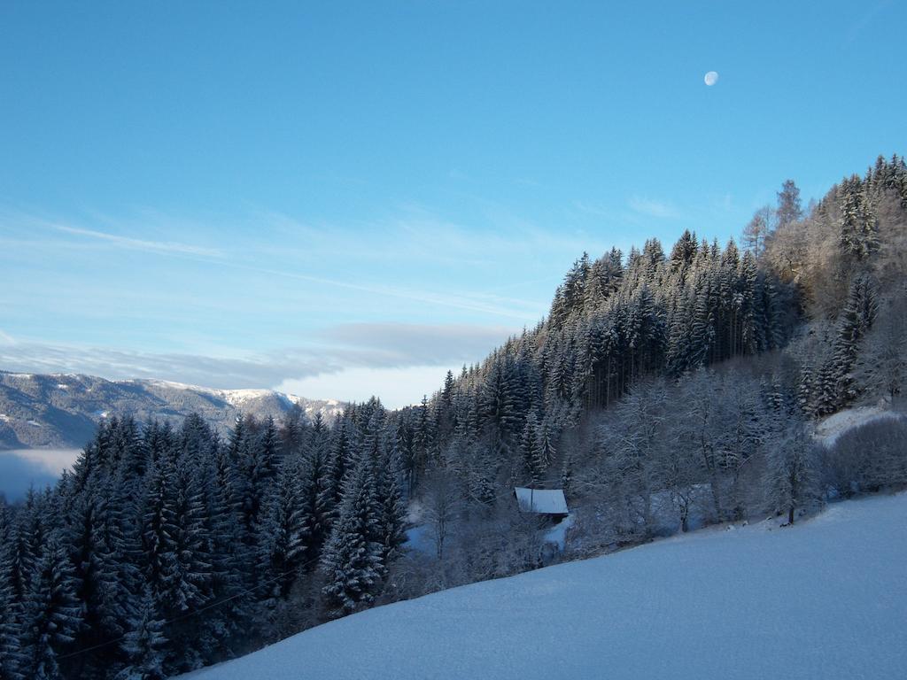 Grundnerhof Villa Arriach Exterior photo